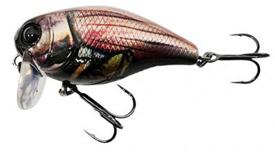 RT May Bug Brown